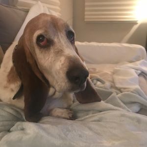 Meet your Posher, Joanna